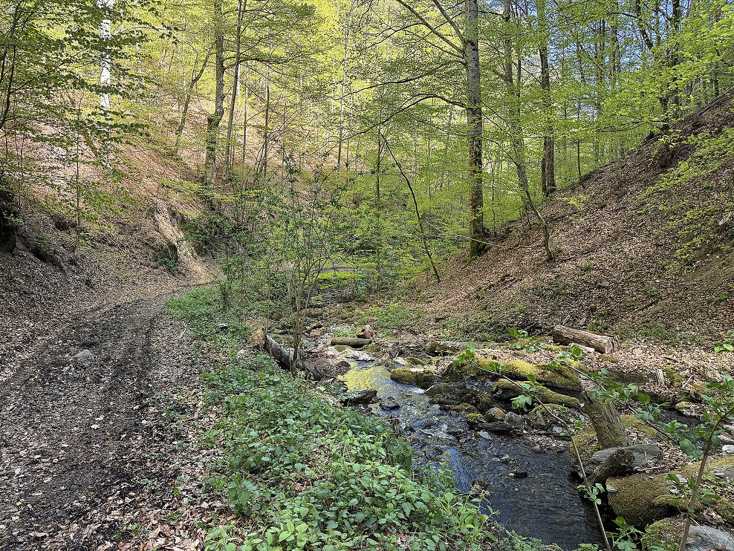 Traseul 2 - Dealul Geoagiului - Mărinești - Iliești