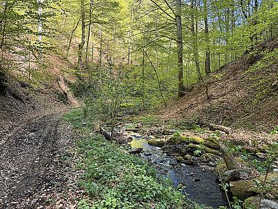 Traseul 2 - Dealul Geoagiului - Mărinești - Iliești
