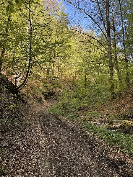 Traseul 2 - Dealul Geoagiului - Mărinești - Iliești