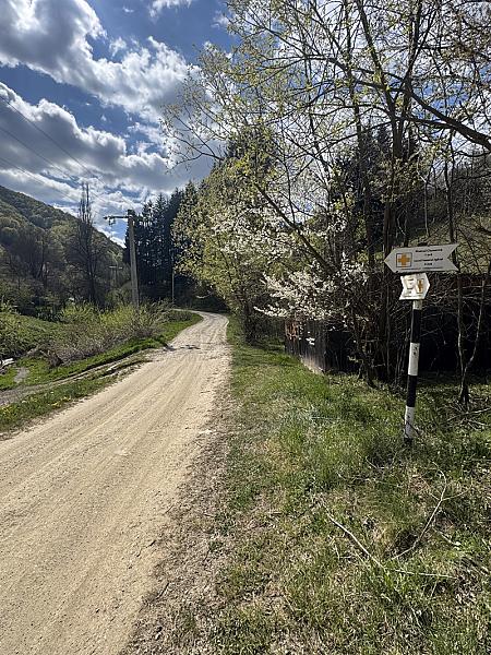 Traseul 4 - Modolești - Lacul Iezerul Ighiel