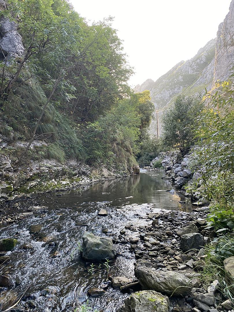 Cheile Întregaldei
