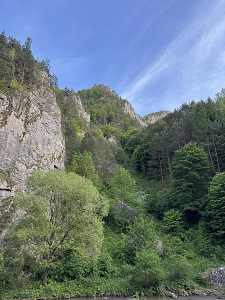Cheile Întregaldei