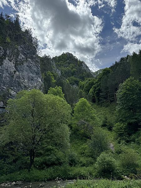 Cheile Întregaldei
