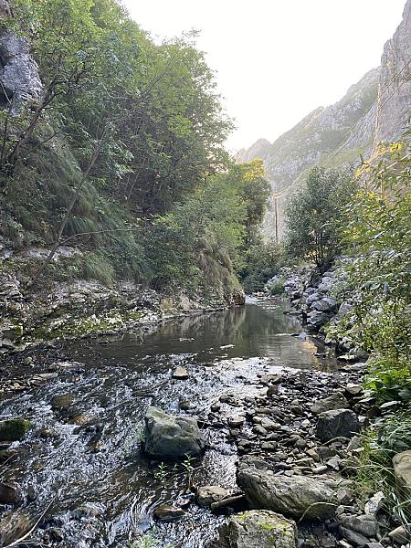 Cheile Întregaldei