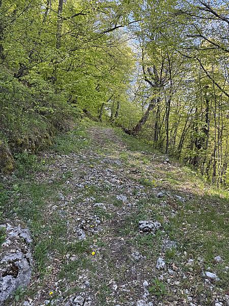 Traseul 1 - Dealul Geoagiului - Tecsesti
